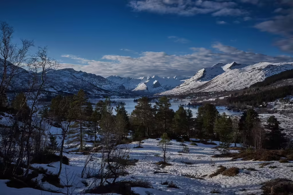 Vinter | 2017
